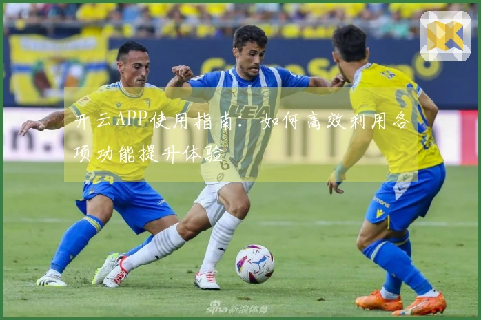 开云APP使用指南：如何高效利用各项功能提升体验